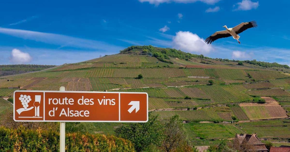 Le Belvedere *